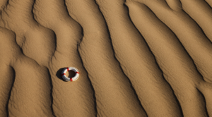 There Are No Easy Answers to our Biggest Global Problems